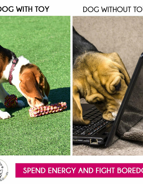 Load image into Gallery viewer, Pets&amp;Goods Rope Dog Toys 13-Pack Durable Cotton Chew Tug Toys
