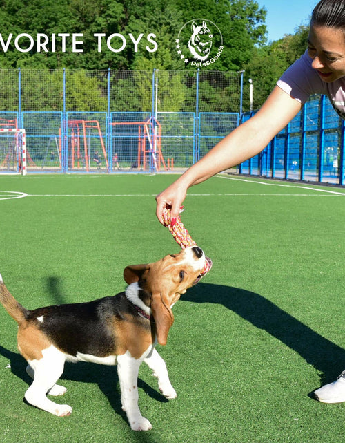 Load image into Gallery viewer, Pets&amp;Goods Rope Dog Toys 13-Pack Durable Cotton Chew Tug Toys
