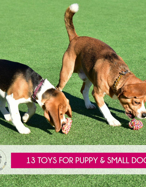 Load image into Gallery viewer, Pets&amp;Goods Rope Dog Toys 13-Pack Durable Cotton Chew Tug Toys
