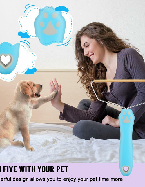 Load image into Gallery viewer, Qiguet Pet Hair Remover Carpet Scraper Fur Remover Tool Black
