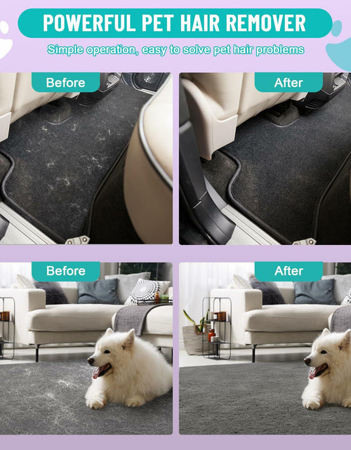 Load image into Gallery viewer, Qiguet Pet Hair Remover Carpet Scraper Fur Remover Tool Black
