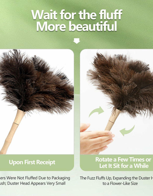 Load image into Gallery viewer, Greenfeather Small Ostrich Feather Duster 16in Wooden Handle 2 Pack
