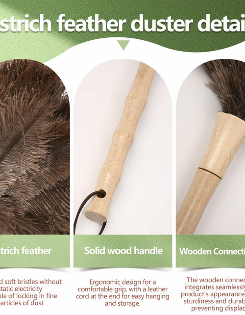 Load image into Gallery viewer, Greenfeather Small Ostrich Feather Duster 16in Wooden Handle 2 Pack
