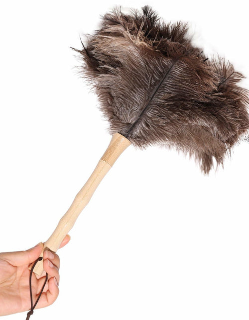 Load image into Gallery viewer, Greenfeather Small Ostrich Feather Duster 16in Wooden Handle 2 Pack

