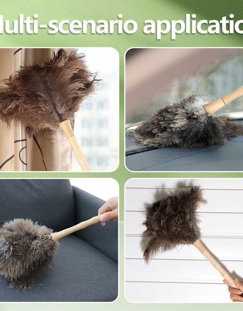 Load image into Gallery viewer, Greenfeather Small Ostrich Feather Duster 16in Wooden Handle 2 Pack
