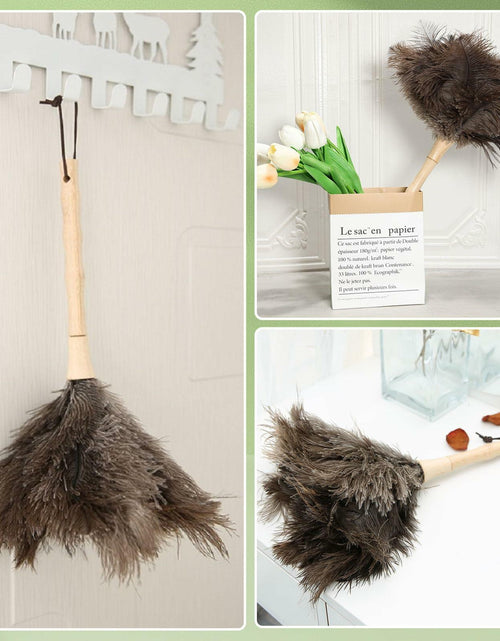 Load image into Gallery viewer, Greenfeather Small Ostrich Feather Duster 16in Wooden Handle 2 Pack
