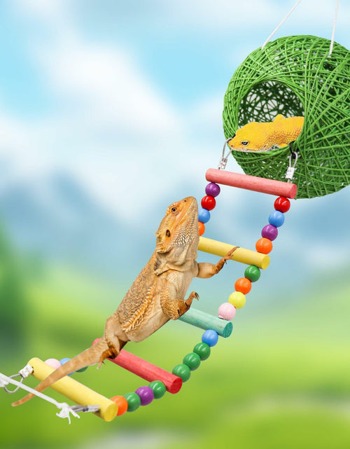 Load image into Gallery viewer, Neeenn Reptile Takraw Ball Hideout Climbing Toy Ladder Tank Decor
