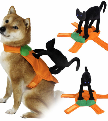 stepsin Dog Saddle Halloween Cat Knight Cosplay Costume Polyester Size S