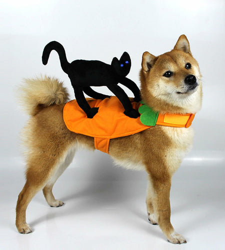 stepsin Dog Saddle Halloween Cat Knight Cosplay Costume Polyester Size S