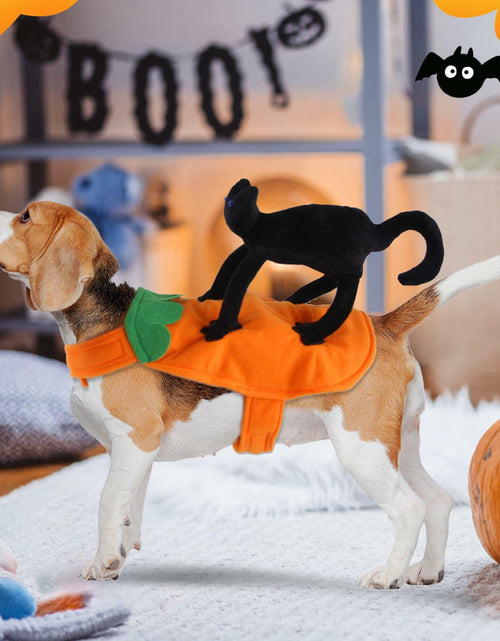 Load image into Gallery viewer, stepsin Dog Saddle Halloween Cat Knight Cosplay Costume Polyester Size S
