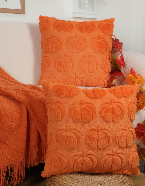 Load image into Gallery viewer, Hongsome Fall Pumpkin Decor Throw Pillow Covers 18x18in Set of 2 Orange
