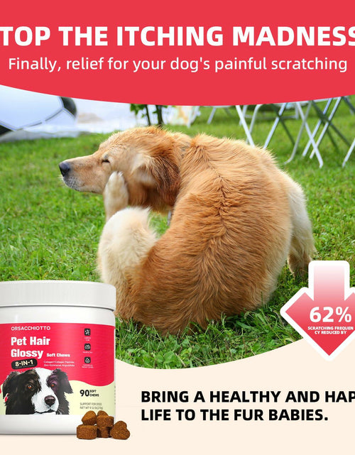 Load image into Gallery viewer, BestBy11/25 Orsacchiotto Collagen Dog Chews Beef Flavor 90 Count Itch Relief
