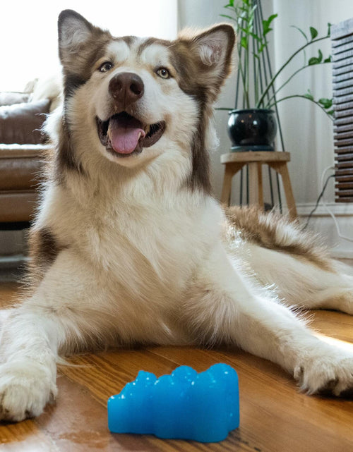 Load image into Gallery viewer, Outward Hound Gummiez Bear Dog Toy &amp; Treat Stuffer 4.7" Blue Raspberry
