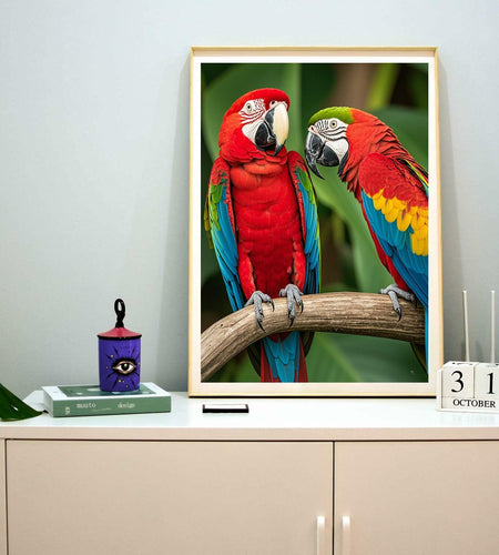 Xiyuekissu Diamond Art Kit Parrot Macaws 5D Paint by Numbers Adults