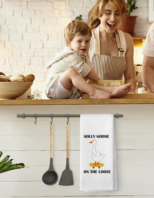 Load image into Gallery viewer, TAEDIN Funny Sarcastic Goose Dish Towel 16x24 Polyester Farmhouse 2-Pack
