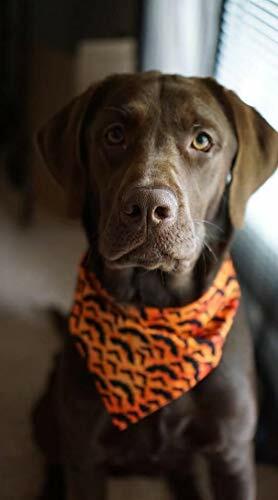 Load image into Gallery viewer, KZHAREEN 2 Pack Halloween Dog Bandana Reversible Triangle Scarf Large
