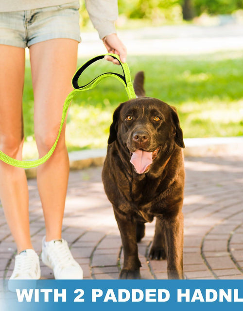 Load image into Gallery viewer, Htnlbqy Dog Leash Large Nylon Reinforced Reflective 5FT Bright Green
