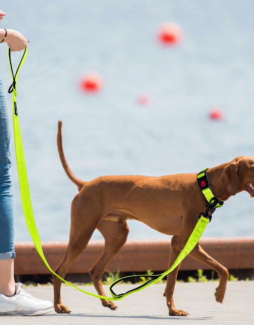 Load image into Gallery viewer, Htnlbqy Dog Leash Large Nylon Reinforced Reflective 5FT Bright Green
