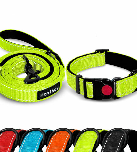 Htnlbqy Dog Leash Large Nylon Reinforced Reflective 5FT Bright Green
