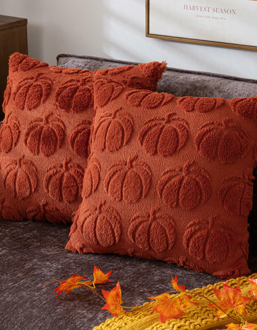 Load image into Gallery viewer, COSIBONO Pumpkin Fall Throw Pillow Covers 18x18 Set of 2 Caramel Embroidery
