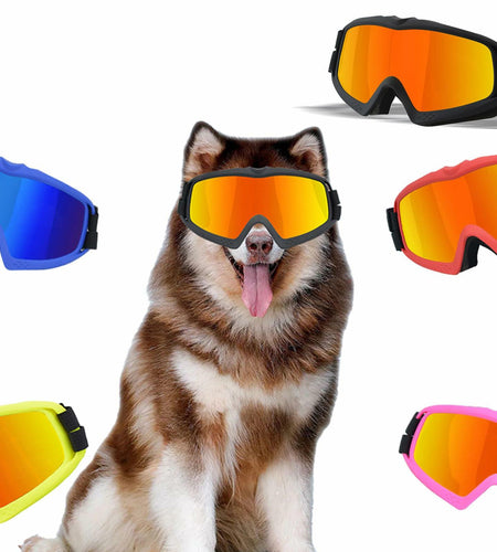 GDSanlian Dog Sunglasses UV-Proof Windproof Adjustable Strap Black Red L