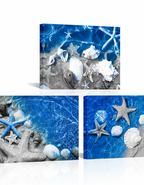 Load image into Gallery viewer, FuShvre Beach Canvas Wall Art Sea Shell Pictures Blue 12x16 3pcs Coastal
