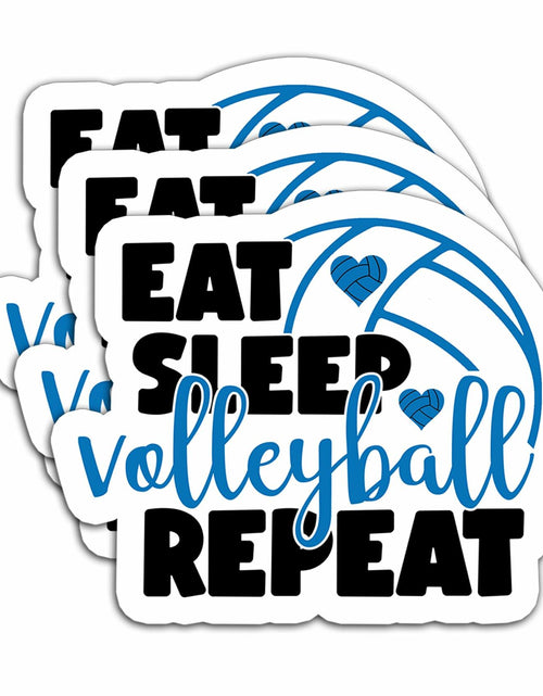 Load image into Gallery viewer, HYKADEUS Funny Volleyball Stickers 3"x2.2" Waterproof Vinyl Decals 3Pcs Retro
