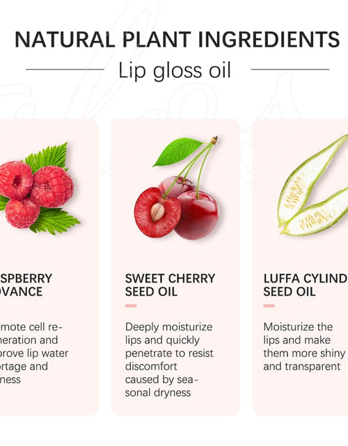 Load image into Gallery viewer, Sea-Maid Plumping Lip Gloss Tinted Balm Big Brush 1.01 Fl Oz Black
