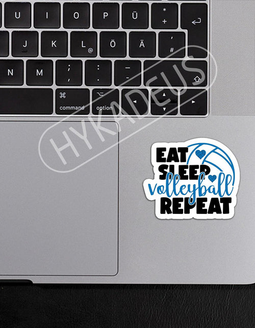 Load image into Gallery viewer, HYKADEUS Funny Volleyball Stickers 3"x2.2" Waterproof Vinyl Decals 3Pcs Retro
