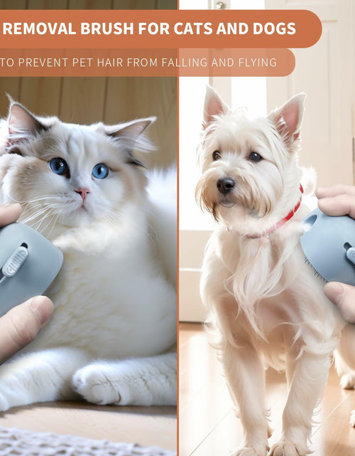 Load image into Gallery viewer, NAHANGPET 4-in-1 Rechargeable Cat Steam Brush Shedding Comb Blue

