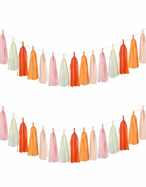 Load image into Gallery viewer, Guzon 25pcs The Sun Birthday Tissue Tassel Garland Paper Decorations
