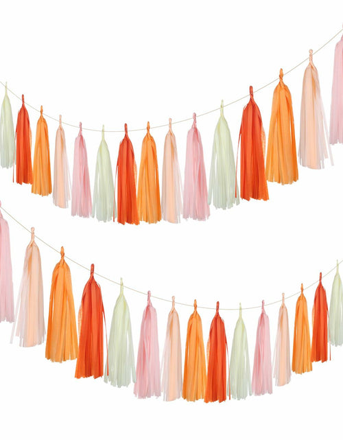 Load image into Gallery viewer, Guzon 25pcs The Sun Birthday Tissue Tassel Garland Paper Decorations
