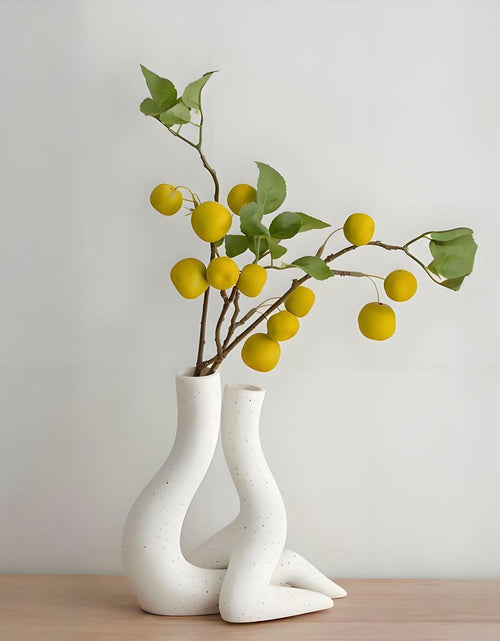 Load image into Gallery viewer, T9TDCS White Ceramic Vase Set of 2 Modern Nordic Boho Home Decor
