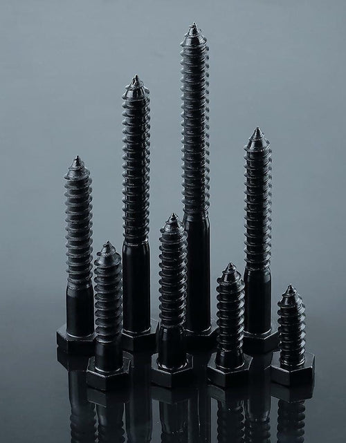 Load image into Gallery viewer, Fayeploo 5/16x2 Black Hex Head Lag Screws 304 Stainless Steel 10 pcs
