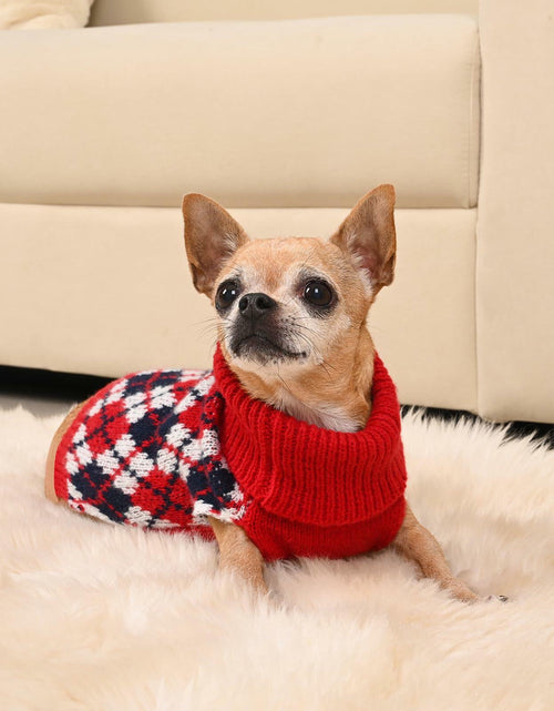 Load image into Gallery viewer, KCFESTIHUE Dog Sweater Plaid Knit Turtleneck Pullover Red Blue Size XS
