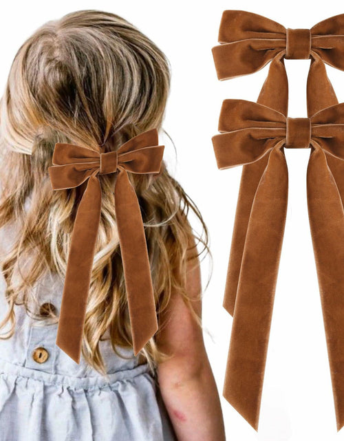 Load image into Gallery viewer, Aileam 2PCS Brown Velvet Hair Bows Large Fall Alligator Clips
