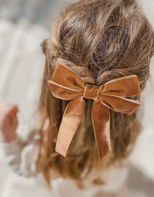 Load image into Gallery viewer, Aileam 2PCS Brown Velvet Hair Bows Large Fall Alligator Clips
