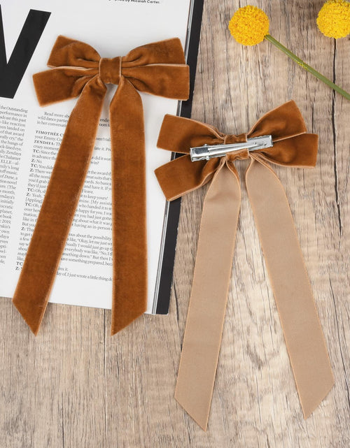 Load image into Gallery viewer, Aileam 2PCS Brown Velvet Hair Bows Large Fall Alligator Clips
