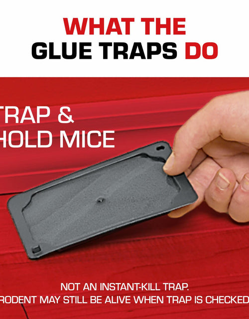 Load image into Gallery viewer, Tomcat Glue Traps Mouse Size with Eugenol for Enhanced Stickiness, 6 Count Black
