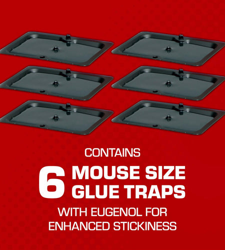 Tomcat Glue Traps Mouse Size with Eugenol for Enhanced Stickiness, 6 Count Black