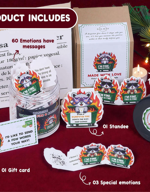 Load image into Gallery viewer, SOLMAY Funny Raccoon Dumpster Fire Affirmation Jar 60 Sarcastic Notes (OPEN BOX)
