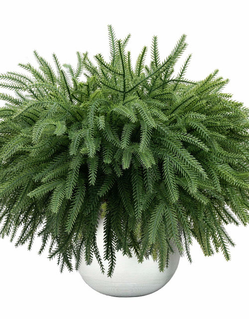 Load image into Gallery viewer, Dushle Norfolk Pine Branches 18in Artificial Greenery Stems 6 Count Green
