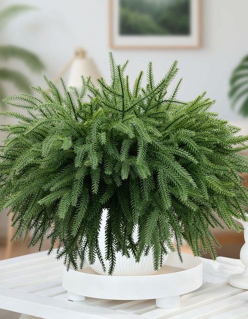 Load image into Gallery viewer, Dushle Norfolk Pine Branches 18in Artificial Greenery Stems 6 Count Green
