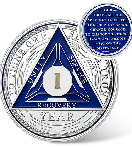 Recovery Triangle Sobriety Coin Silver Roman Numeral Size 1-40 NA AA