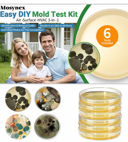Mosynex Mold Test Kit 6 Detection Tests DIY Black Mold Detector Indoor Air