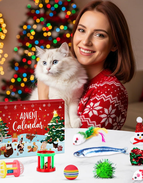 Load image into Gallery viewer, Frerdui Cat Advent Calendar 2025 24 Days Kitten Toys Feather Teaser Red
