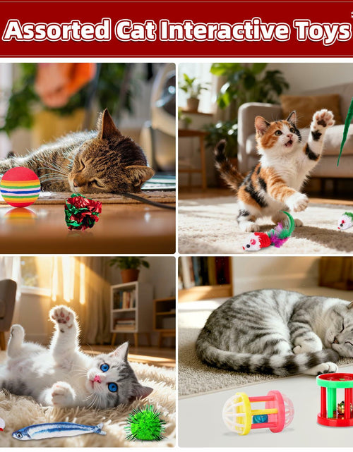 Load image into Gallery viewer, Frerdui Cat Advent Calendar 2025 24 Days Kitten Toys Feather Teaser Red
