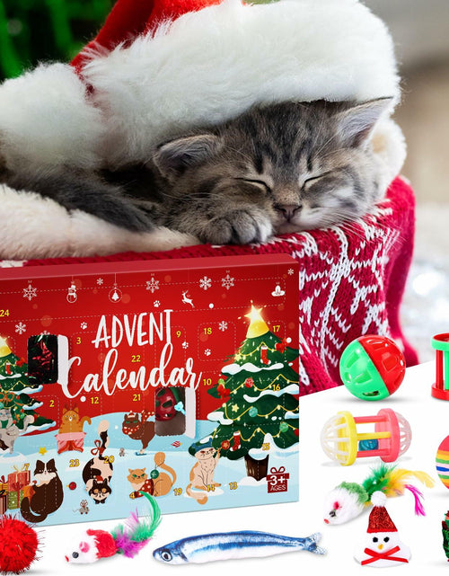Load image into Gallery viewer, Frerdui Cat Advent Calendar 2025 24 Days Kitten Toys Feather Teaser Red
