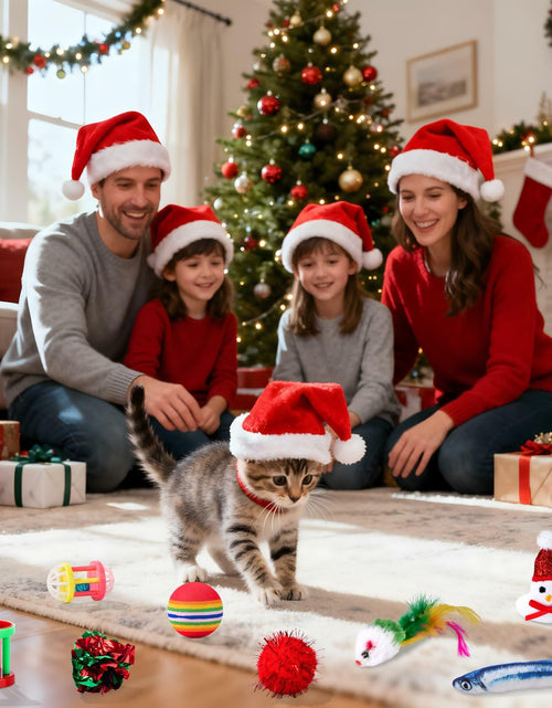 Load image into Gallery viewer, Frerdui Cat Advent Calendar 2025 24 Days Kitten Toys Feather Teaser Red
