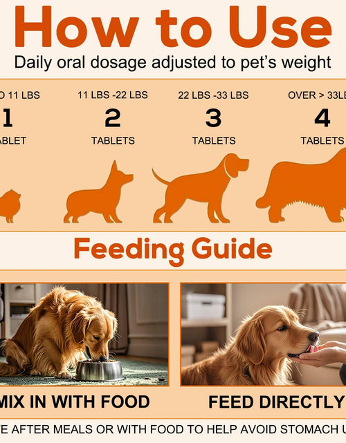 Load image into Gallery viewer, PetriTailor Turmeric Curcumin Dog Supplement Hip &amp; Joint Support 60 Tablets
